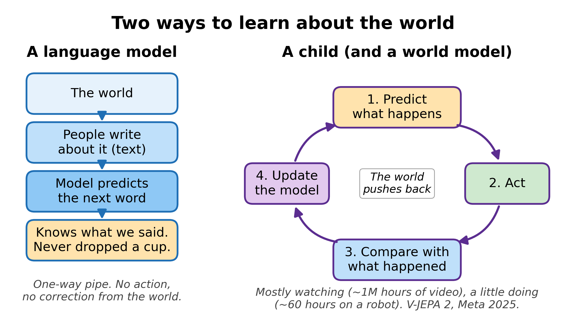 Two ways to learn about the world: a language model reads what people wrote; a child predicts, acts, compares, and updates